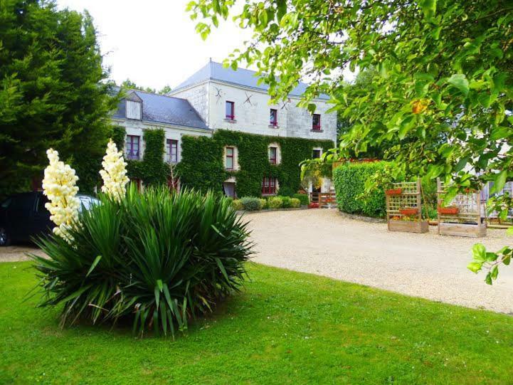 לינה וארוחת בוקר Saint-Mélaine-sur-Aubance Moulin De Gaubourg מראה חיצוני תמונה